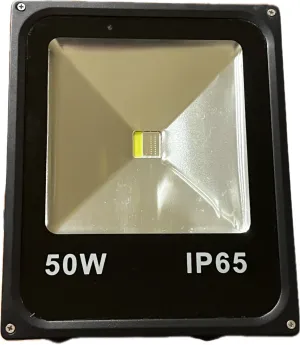 50 Watt WRGB 12v Flood Light