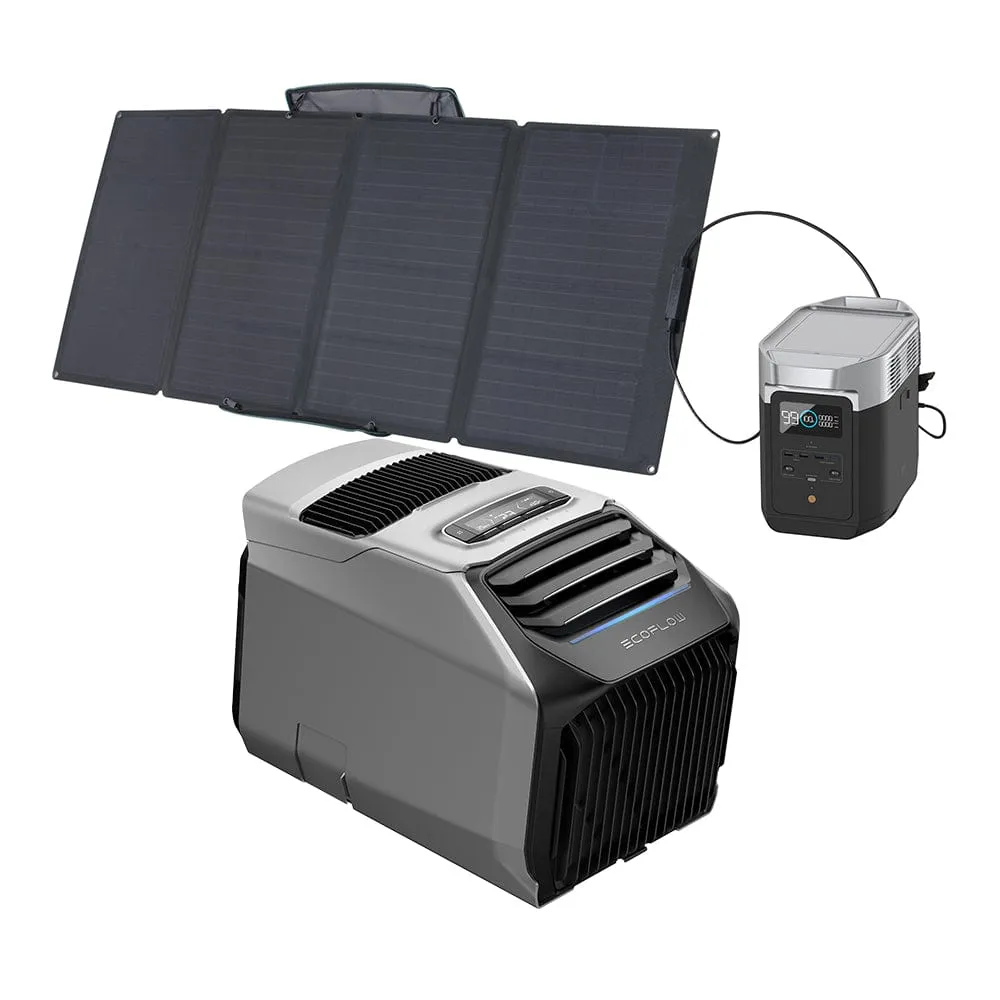 EcoFlow WAVE 2 Portable AC   DELTA 2   160W Portable Solar Panel