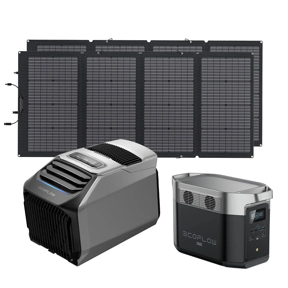 EcoFlow WAVE 2 Portable AC   DELTA Max 1600   220W Portable Solar Panel
