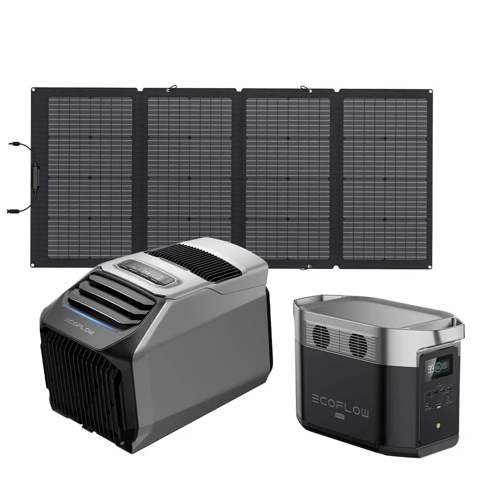EcoFlow WAVE 2 Portable AC   DELTA Max 1600   220W Portable Solar Panel