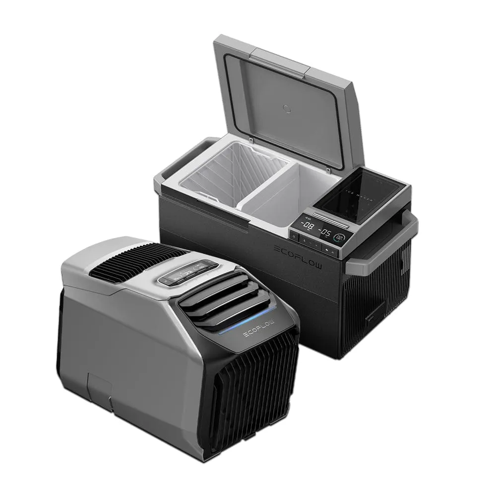 EcoFlow WAVE 2 Portable AC   GLACIER