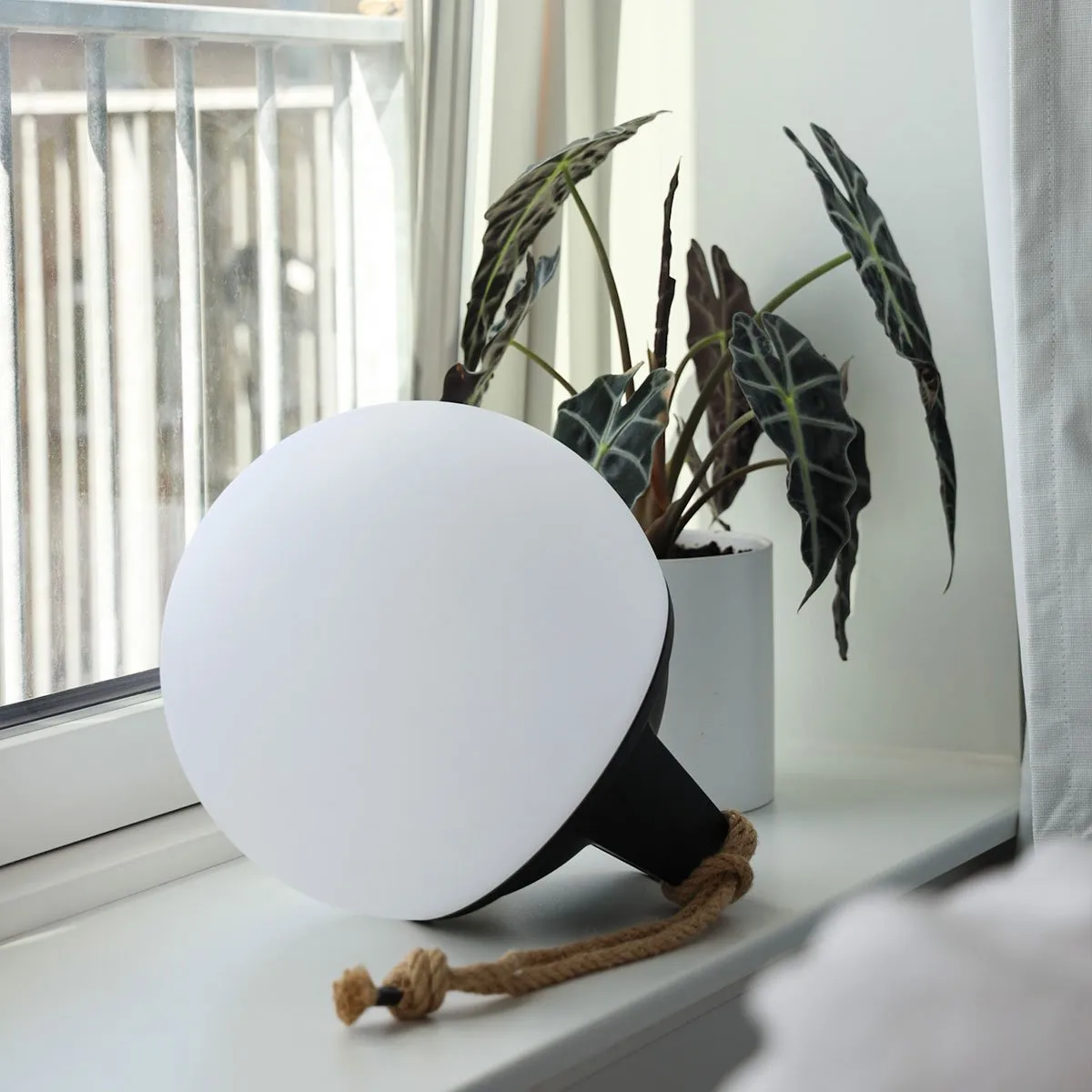 Light 250 (2 pack)