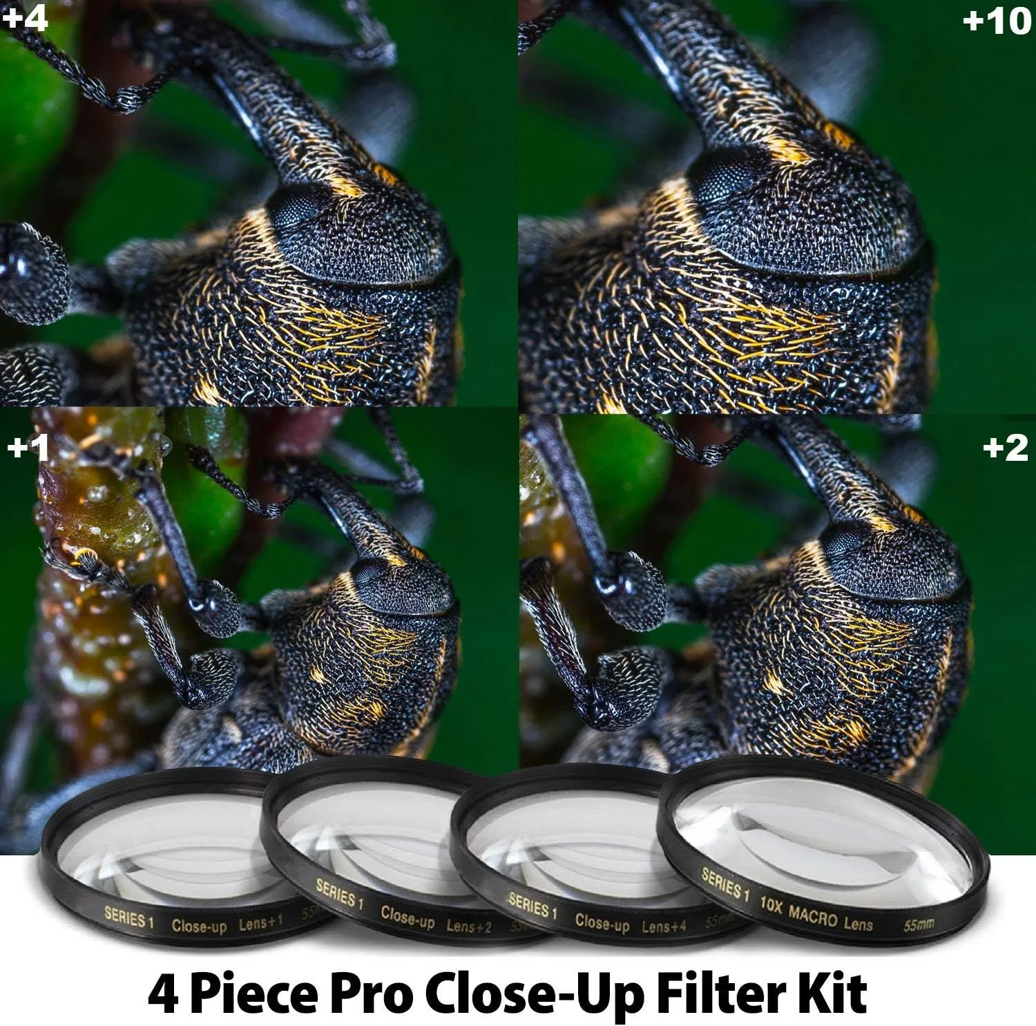 Nikon NIKKOR Z DX 16-50mm f/3.5-6.3 Lens (20084) Intl Model Bundle   SD Card
